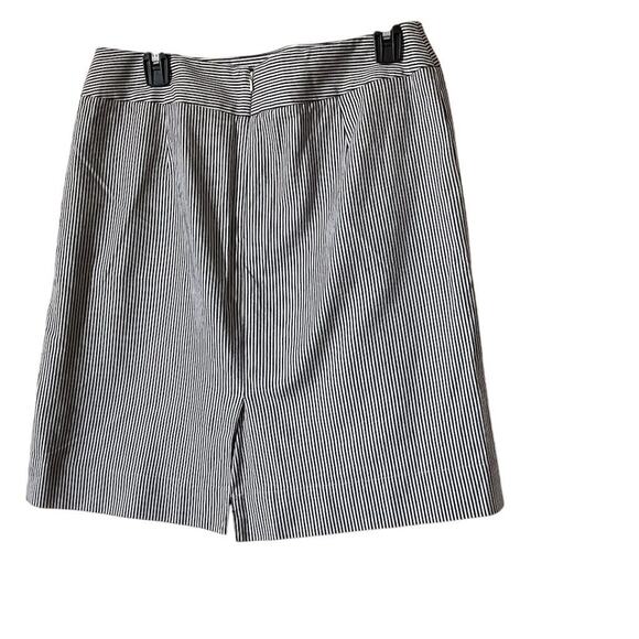Talbots Women's Size 8 Blue & White Pinstripe A-Line Mini Skirt - Picture 2 of 9